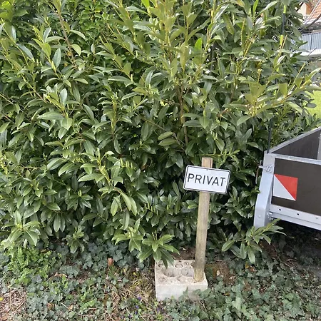 Matthes דירה Dogern